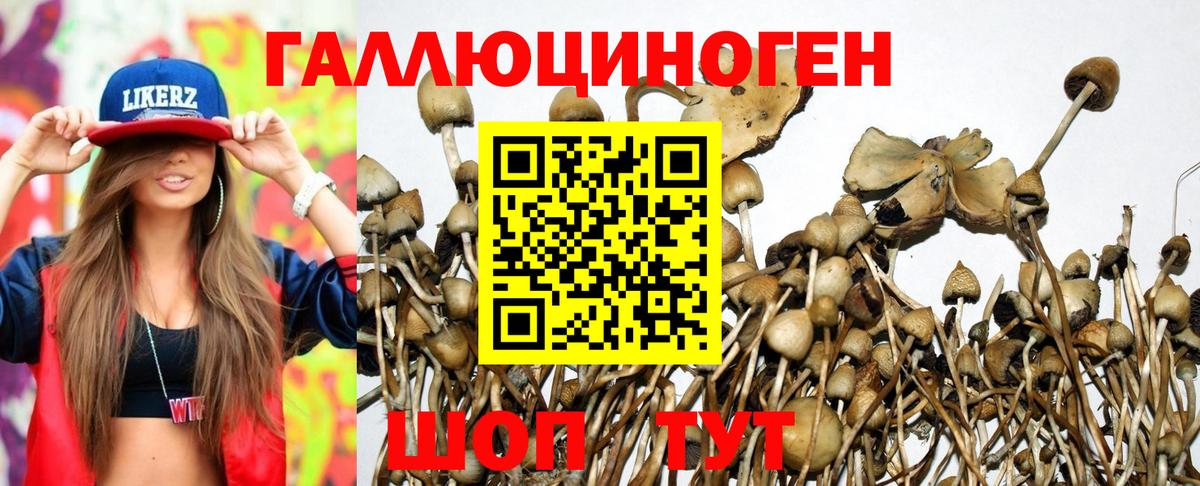 Галлюциногенные грибы Cubensis Волгоград