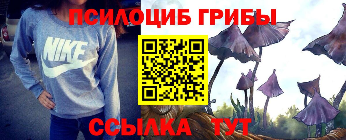 продажа наркотиков  Галлюциногенные грибы Psilocybe  Вход с VPN  Волгоград 